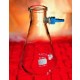 FLASK FILTRATION 5000ML BTL-SHAPE CMPLT 