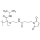 Poly(N-isopropylacrylamide), maleimide t 