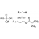 PHOSPHORIC ACID 2-HYDROXYETHYL METHACRYLATE ESTER 