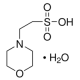 MES MONOHYDRATE BioUltra, for molecular biology, >=99.5% (T),