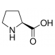 L-Proline United States Pharmacopeia (USP) Reference Standard,