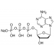 2'-DEOXYADENOSINE 5'-TRIPHOSPHATE*SODIUM 100 mM, pH 7,