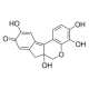 HEMATEIN FOR MICROSCOPY 