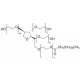 POLYOXYETHYLENESORBITAN MONOLAURATE*MOLE CULAR BIOLO for molecular biologyviscous liquid