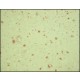 MONOCLONAL ANTI-BETA-AMYLOID CLONE BAM10 ~1.5 mg/mL, clone BAM-10, purified immunoglobulin, buffered aqueous solution,