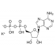 ADENOSINE 5'-DIPHOSPHATE POTASSIUM FROM BACTERIAL S bacterial, >=95%, crystalline,