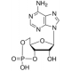 ADENOSINE 3':5'-CYCLIC MONOPHOSPHATEFREE >=98.5% (HPLC), powder,