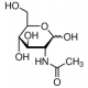 N-ACETYL-D-GLUCOSAMINE-AGAROSE saline suspension,