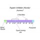 TRYPSIN INHIBITOR FROM SOYBEAN PI*MARKER 