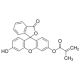 FLUORESCEIN O-METHACRYLATE, 97% 