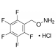 O-(2,3,4,5,6-PENTAFLUOROBENZYL)HYDROXYL- AMINE HYDROCHLORIDE 