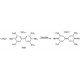 3,3,5,5,-TETRAMETHYLBENZIDINE (TMB) LIQU ID SUBSTR peroxidase substrate,