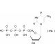 THYMIDINE 5'-TRIPHOSPHATE SODIUM 100 MM AQUEOUS SOL 