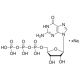 GUANOSINE 5'-TRIPHOSPHATE SODIUM 100 MM 