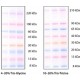 COLORBURST (TM) ELECTROPHORESIS MARKER ( mol wt 8.000-220.000 Da,