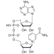 B-NICOTINAMIDE ADENINE DINUCLEOTIDE HYDRATE BIOULTRA, FROM YEAST >=98%, BioUltra, from yeast,