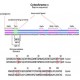 CYTOCHROME C FROM EQUINE HEART, SUIT& 