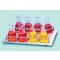 TRAY BASIC CARRIER FOR JULABO BATHS