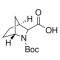 (1R,3S,4S)-N-BOC-2-AZABICYCLO(2.2.1)HEP&