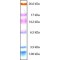 COLOR MARKER ULTRA-LOW RANGE (M.W.&