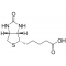 POLY(ETHYLENE GLYCOL) DIGLYCIDYL ETHER,
