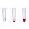 JUMPSTART REDACCUTAQ LA DNA POLYMERASE