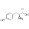 L-TYROSINE, >=97%, FG