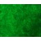 Monoclonal Anti-Uvomorulin/E-Cadherin antibody produced in rat,