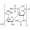 CHONDROITIN SULFATE A SODIUM SALT FROM FROM BOVINE TRACHEA SUITABLE FOR CELL CULTURE, BIOREAGENT, LYOPHILIZED POWDER