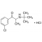 BUPROPION HCL