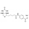 BIOTIN 4-AMIDOBENZOIC ACID SODIUM
