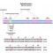 CYTOCHROME C FROM EQUINE HEART, SUIT&